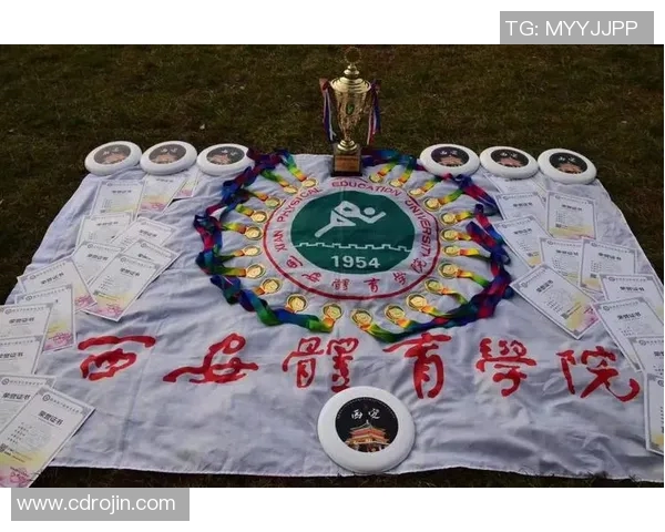 西安飞盘队意识表现的数据分析与战术提升研究