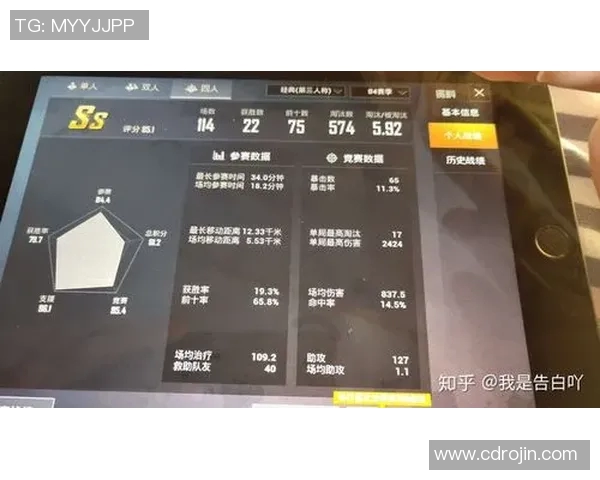 和平精英V5赛季个人能力分析与提升策略探讨