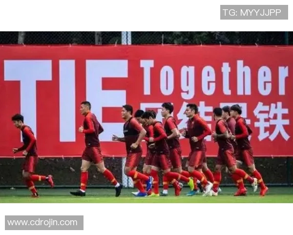 上海排球队灵活性引发热议球迷与专家各执己见